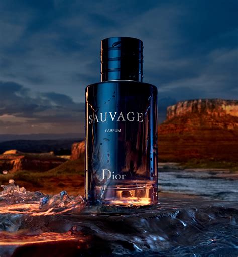 dior sauvage geurtje|sauvage fragrance.